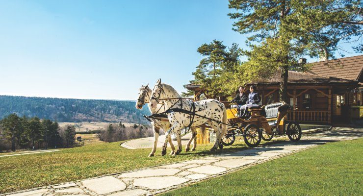 спорт і рекреація