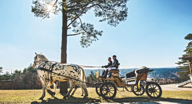 спорт і рекреація