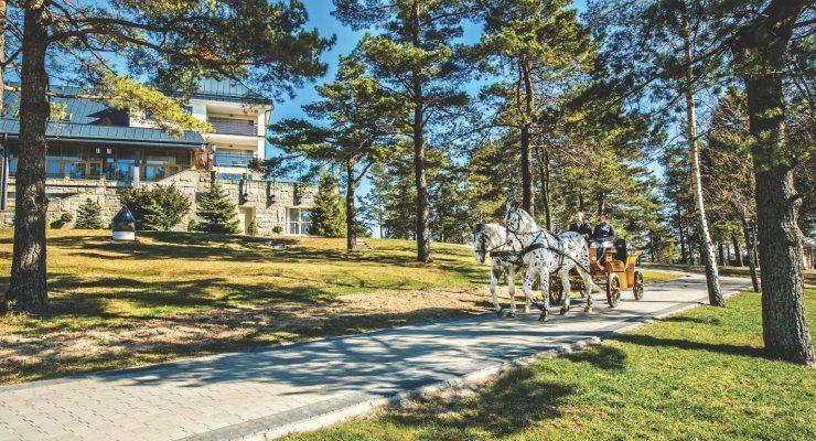 спорт і рекреація