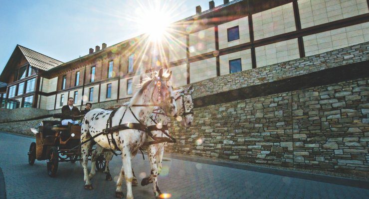 спорт і рекреація