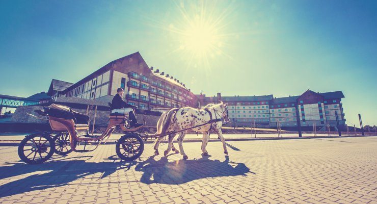 спорт і рекреація