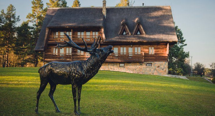 в гірському кліматі