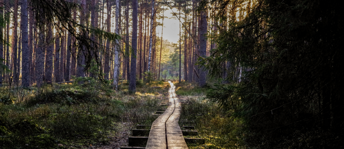 Wycieczki krajoznawcze