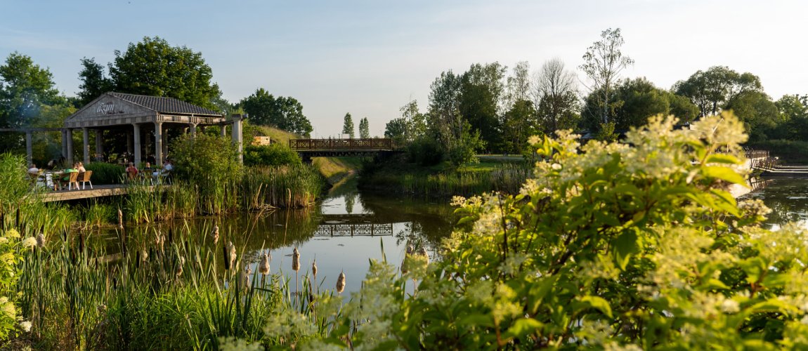 Imprezy integracyjne nad jeziorem