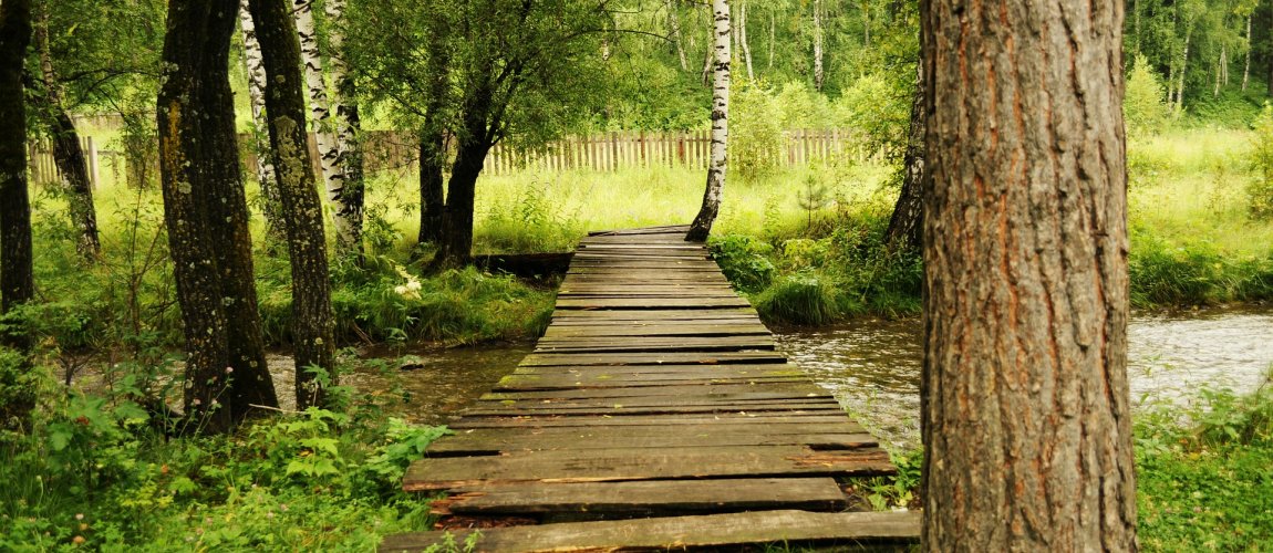 Wycieczki krajoznawcze