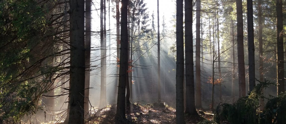 Wycieczki krajoznawcze