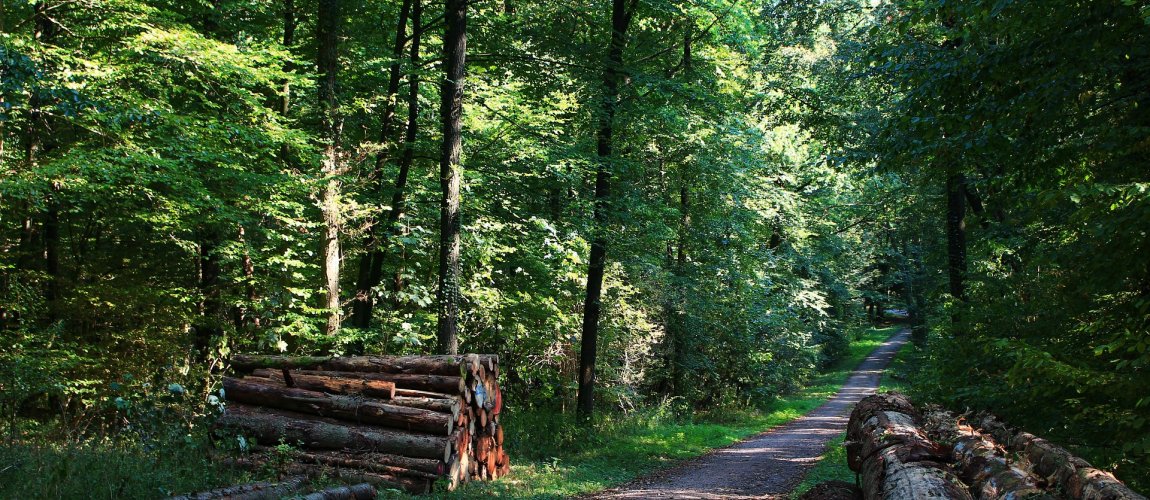 Wycieczki krajoznawcze