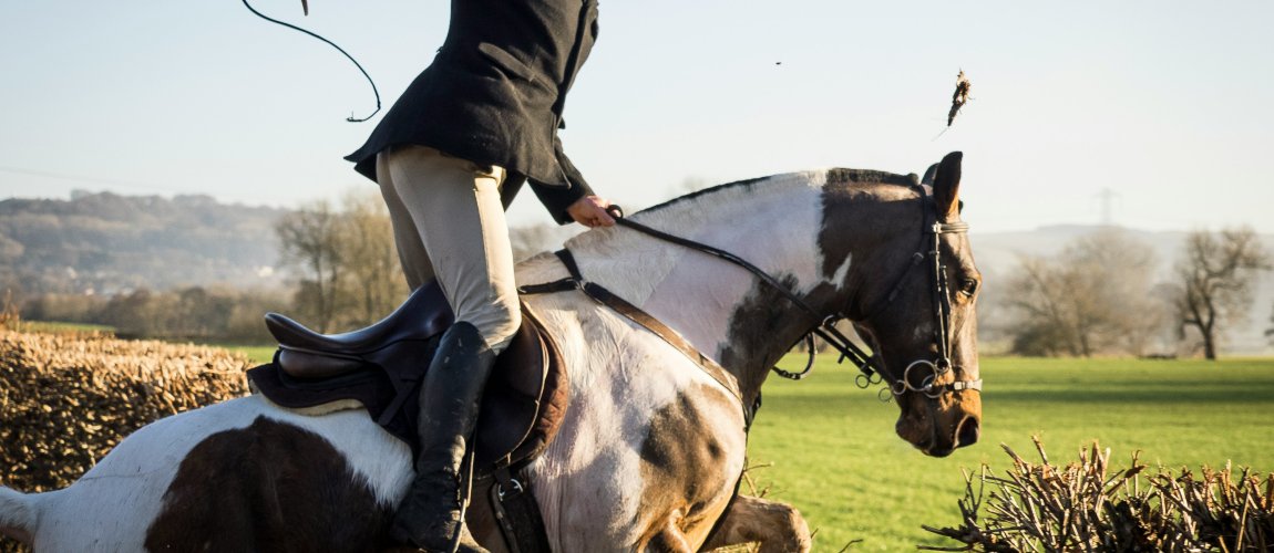 Zajmujesz się branżą związaną z jeździectwem?