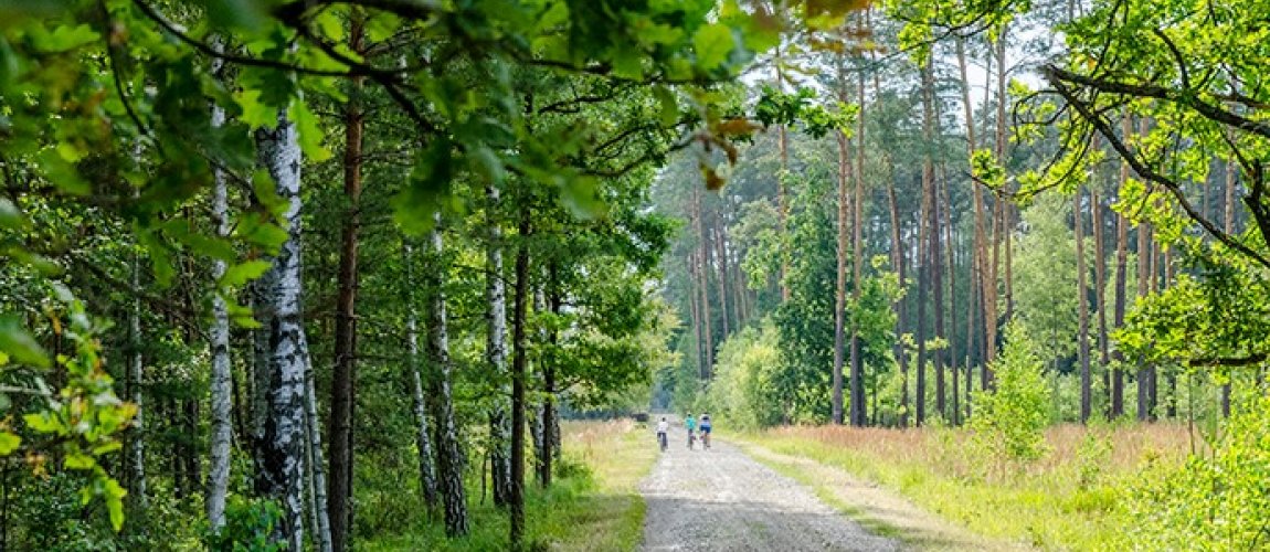 Wycieczki krajoznawcze