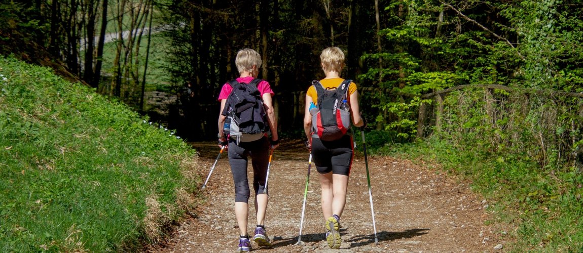 Wycieczki krajoznawcze