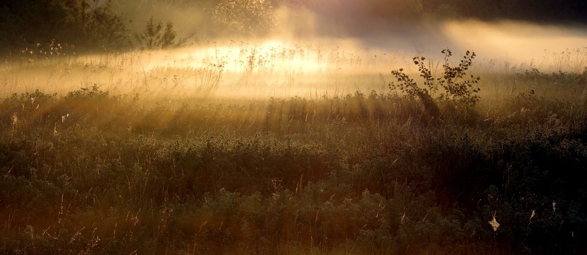 Wycieczki krajoznawcze