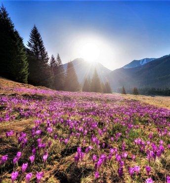 Spring in Zakopane