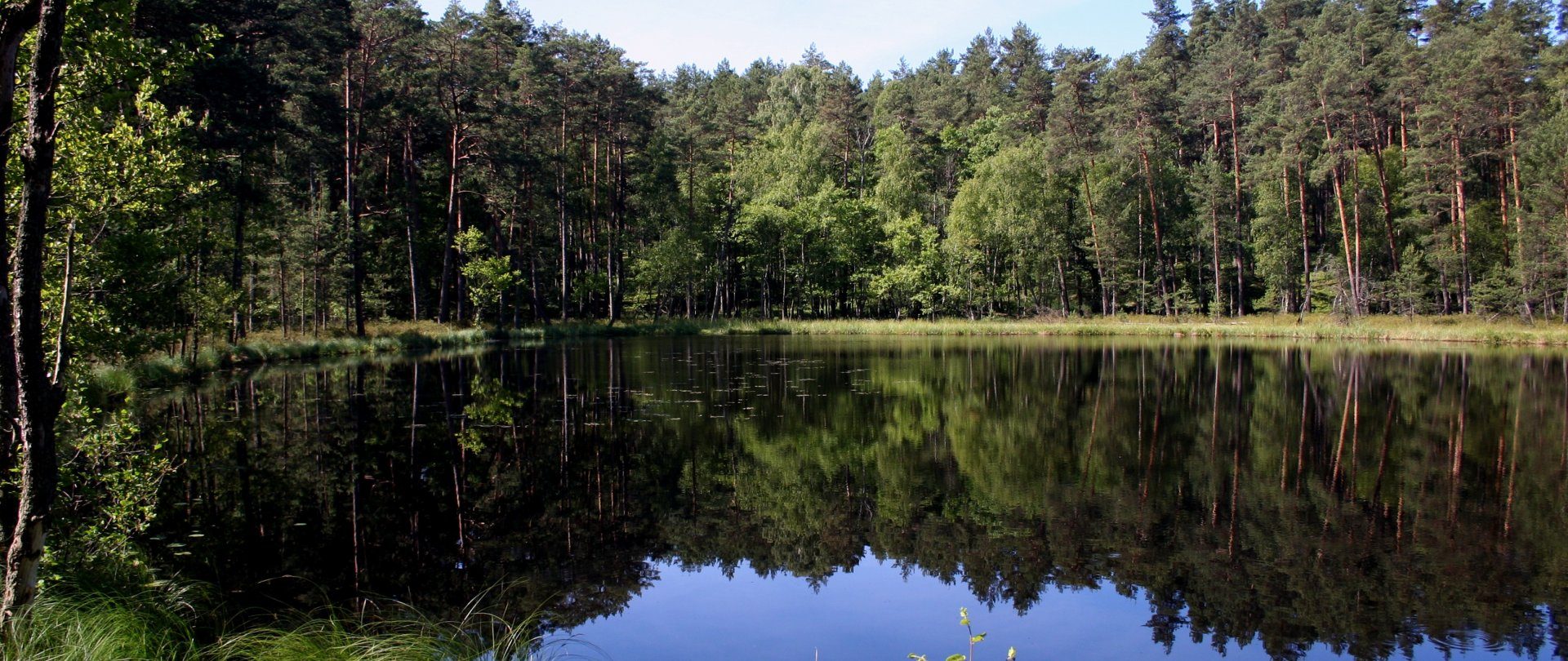 Park Narodowy Bory Tucholskie - Leśny skarb narodowy