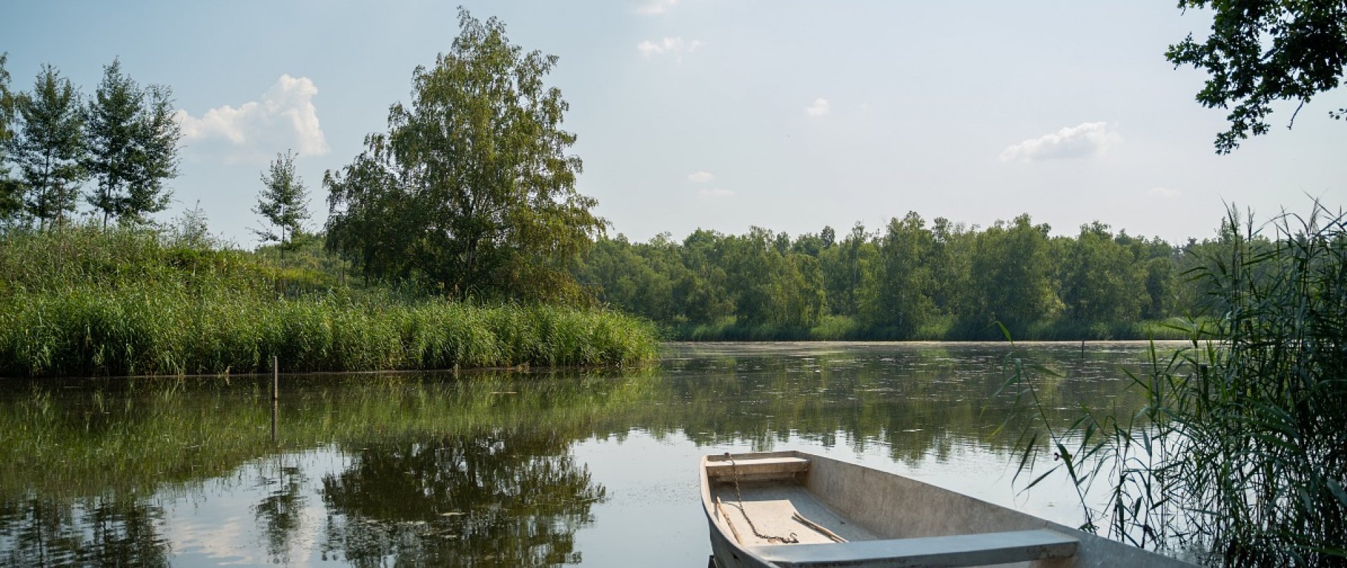 Jezioro koło Poznania. Gdzie warto się wybrać?
