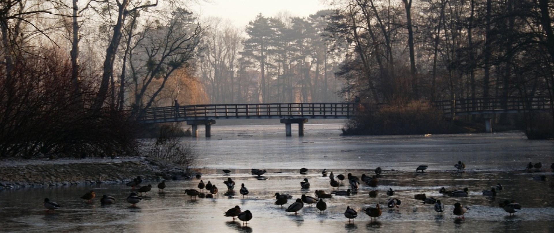 Parki w Poznaniu - wybieramy najpiękniejsze okoliczności przyrody