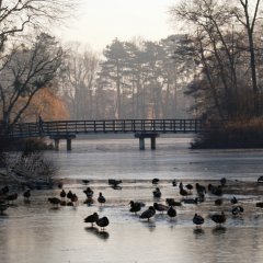 Parki w Poznaniu - wybieramy najpiękniejsze okoliczności przyrody