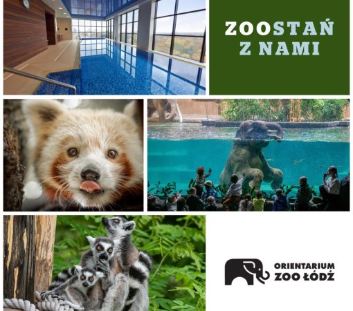 ZOOstań z nami