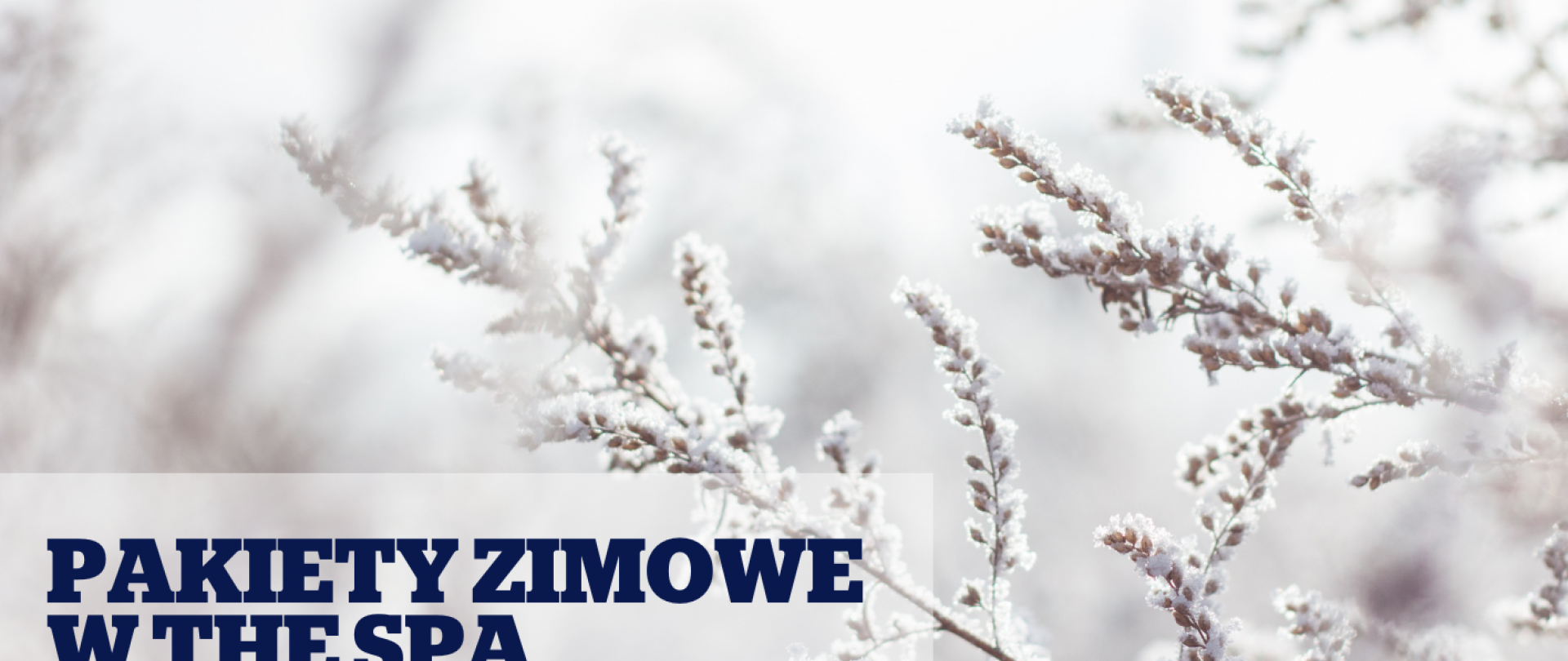 Zimowe Day SPA