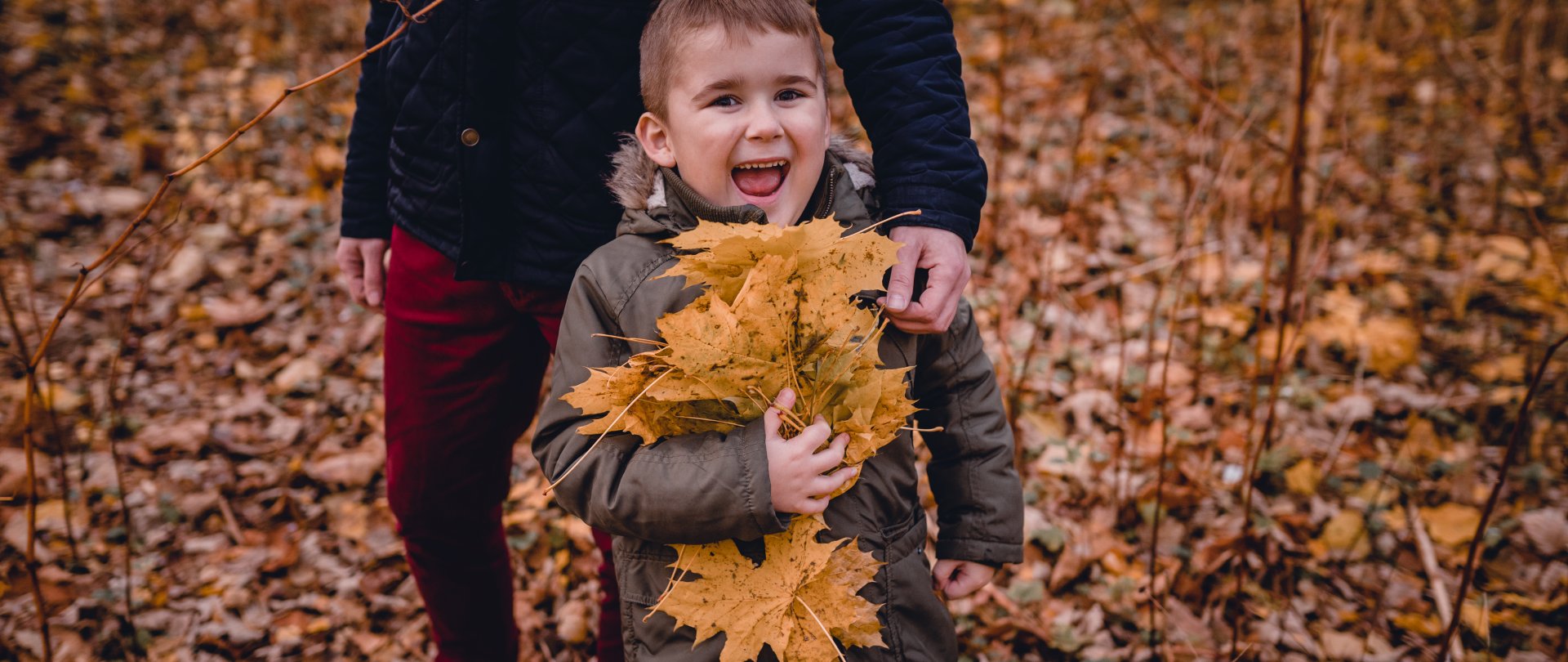 November Animations for Children (08–11.11)