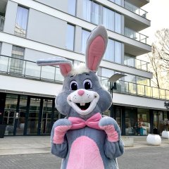 Oster-Animationsprogramm