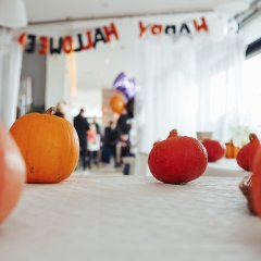 HALLOWEENOWE animacje dla dzieci! (24.10 - 26.10)