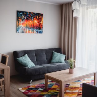 Apartament z 1 sypialnią Rezydencja Park