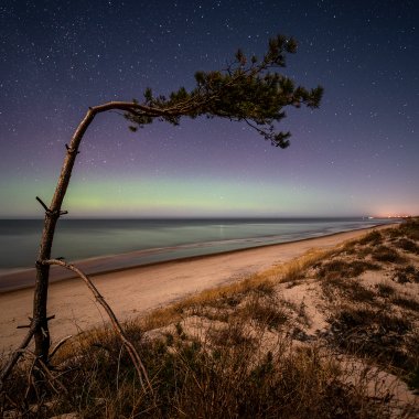The beach and the sea
