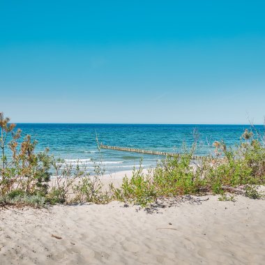 The beach and the sea