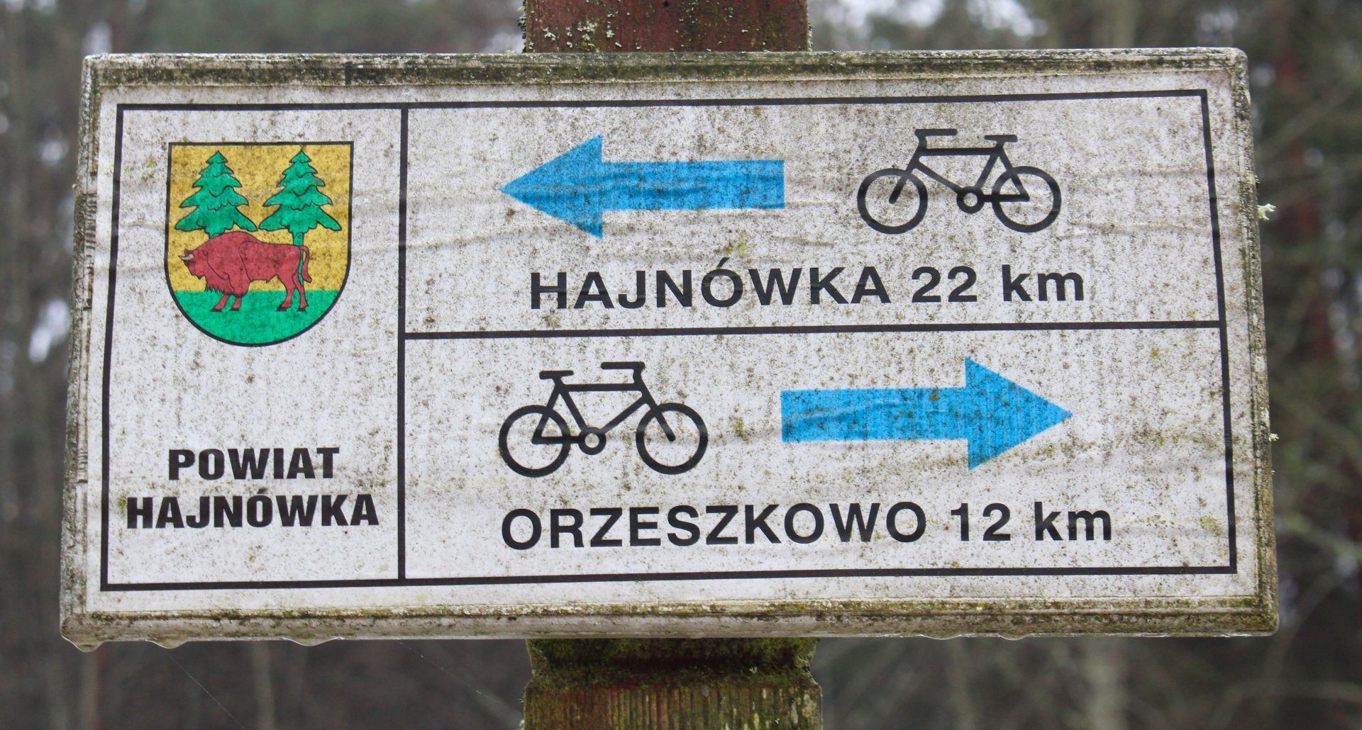 Bicycle rental in Enklawa