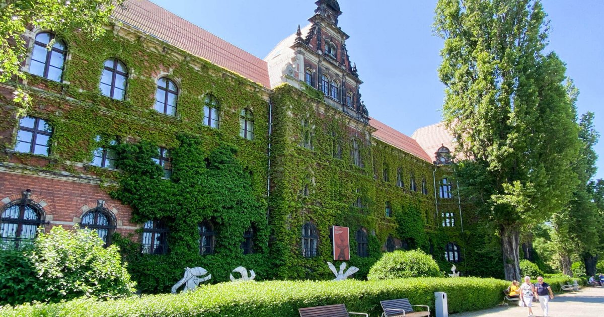 TOP 7 Museen, die Sie in Breslau unbedingt sehen müssen Europeum Hotel