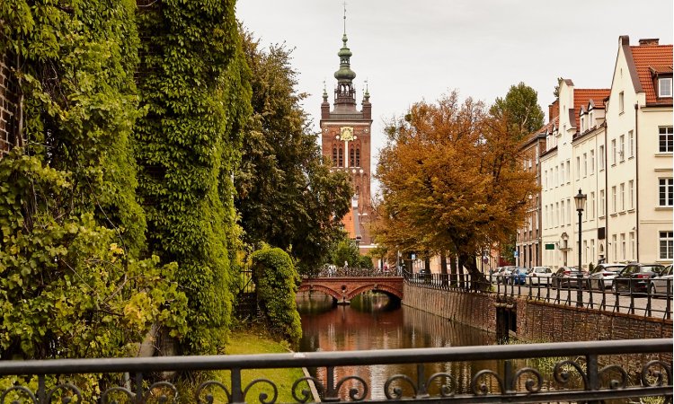 Walking around autumn Gdańsk