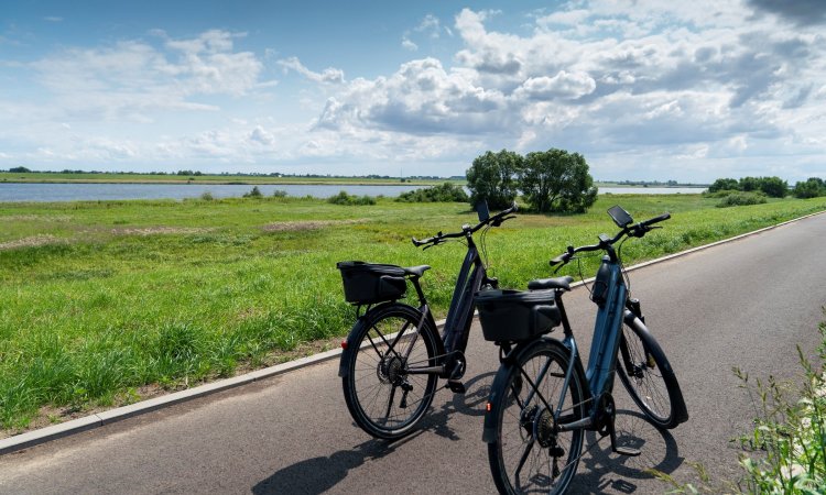 By bike and canoe - Sobieszewo Island actively