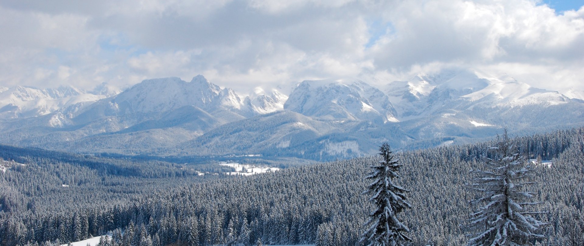 Witów Ski