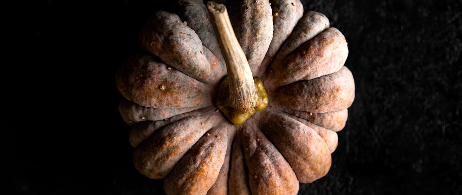 Dynia – prawdziwa jesieniara