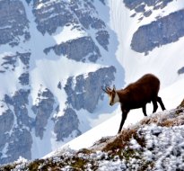 Tatras