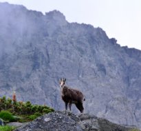 Tatras