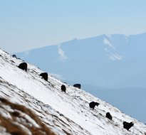 Tatras