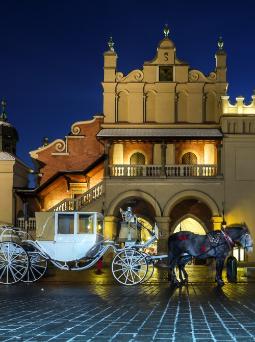 Centrum Małopolski - <br>Historyczne miejsce