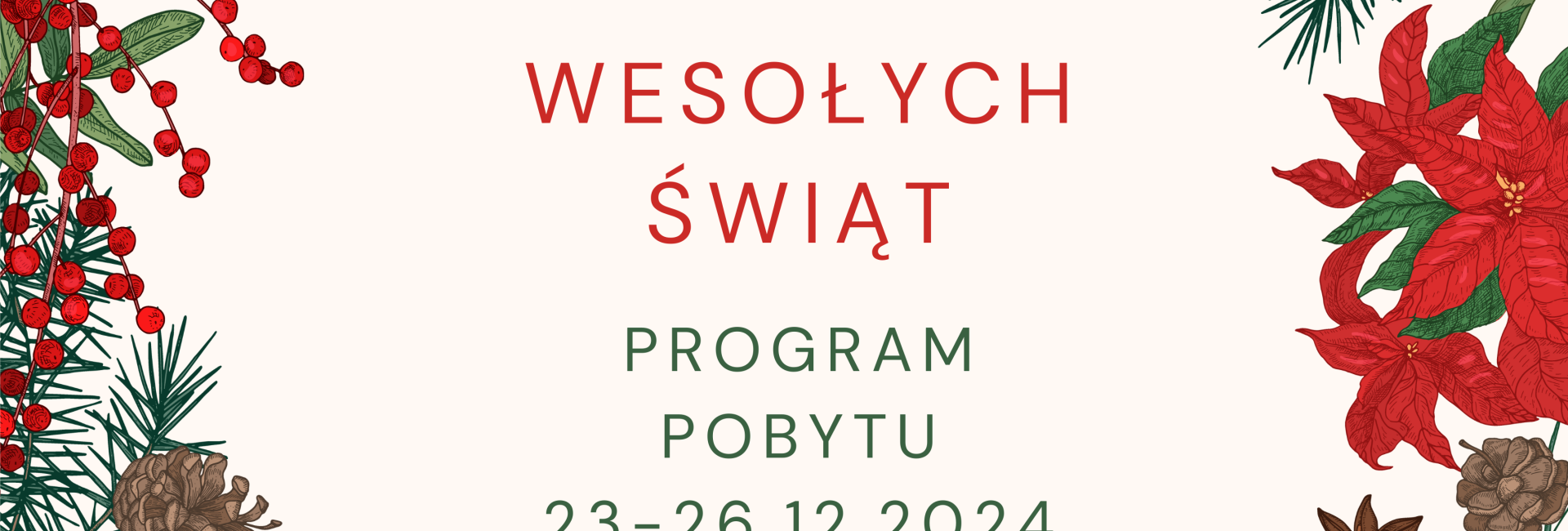 Święta Bożego Narodzenia - 23 - 26.12.2024 - program pobytu