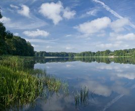 Godzina dla Ziemi w Hotelu Anders