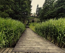 Zasady funkcjonowania hotelu w okresie COVID19