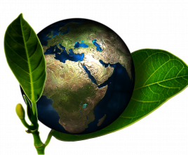 Nasze małe duże EKO kroki – Naturalnie na Mazurach