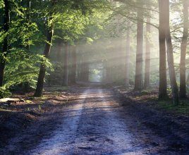 Robert Korzeniowski wspólnie z Lexus Polska rekomenduje trasy biegowe wokół hotelu Anders