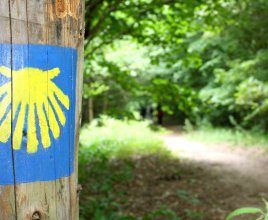 Walking trail - St. James 