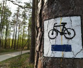 Blue trail - bicycles (26 km) 