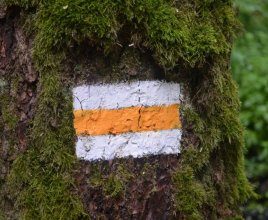 Walking trail - yellow trail (9 km)