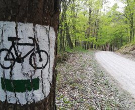 Green trail - bicycles (68 km)
