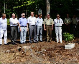 The forest of the champions