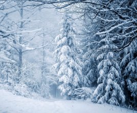 Co robić zimą na Mazurach? Polecamy atrakcje w naszej najbliższej okolicy