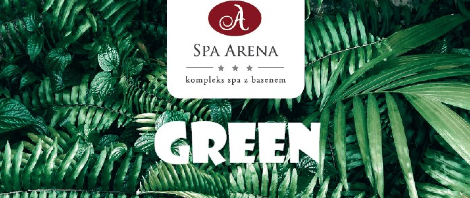 Karnet GREEN - 5 wejść